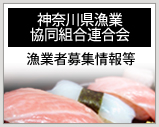 神奈川県漁業協同組合連合会